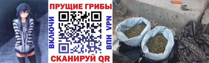 Псилоцибиновые грибы GOLDEN TEACHER  Купить где  Чистополь 